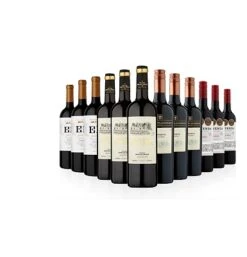 Magnificent Malbecs 12 Bottle Case