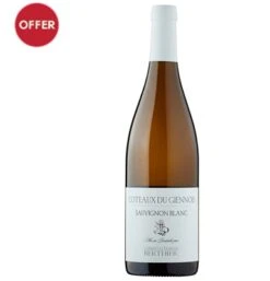 Clement Et Florian Berthier Coteaux De Giennois